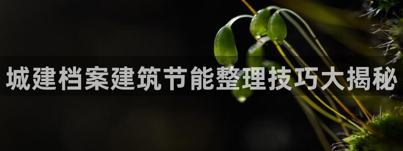 e尊国际平台：城建档案建筑节能整理技巧大揭秘