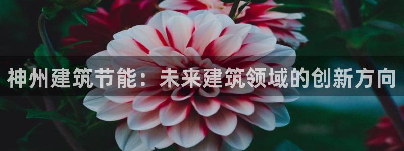 e尊体育：神州建筑节能：未来建筑领域的创新方向