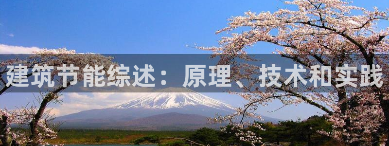e尊国际官方网站：建筑节能综述：原理、技术和实践