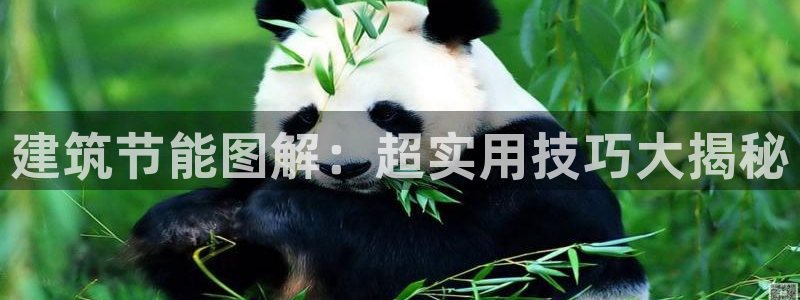 e尊国际官方网站：建筑节能图解：超实用技巧大揭秘
