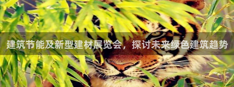 e尊国际的手机登录网站：建筑节能及新型建材展览会，探讨未来绿色建筑趋势
