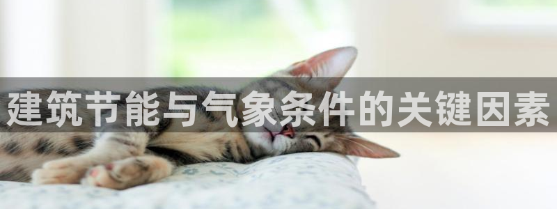 e尊国际官方网站：建筑节能与气象条件的关键因素