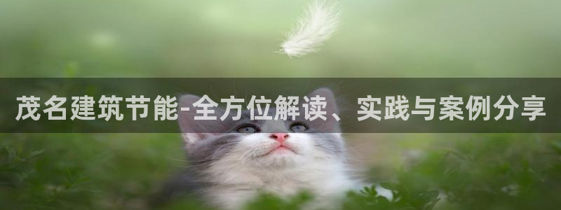 e尊国际娱乐官网下载：茂名建筑节能-全方位解读、实践与案例分享