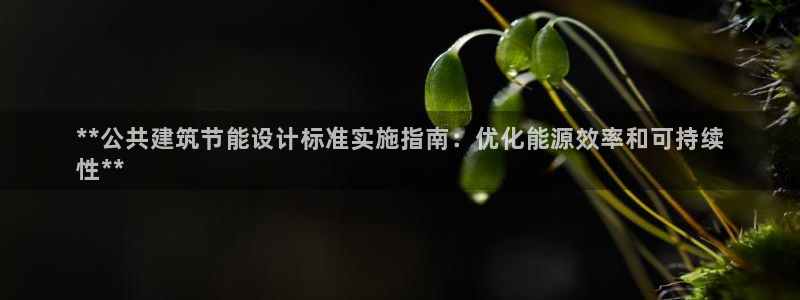 e尊体育：**公共建筑节能设计标准实施指南：优化能源效率和可持续
性**