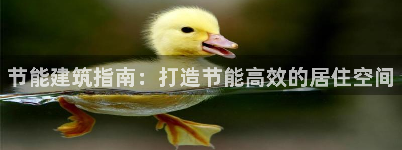 e尊国际-e尊国际官网：节能建筑指南：打造节能高效的居住空间