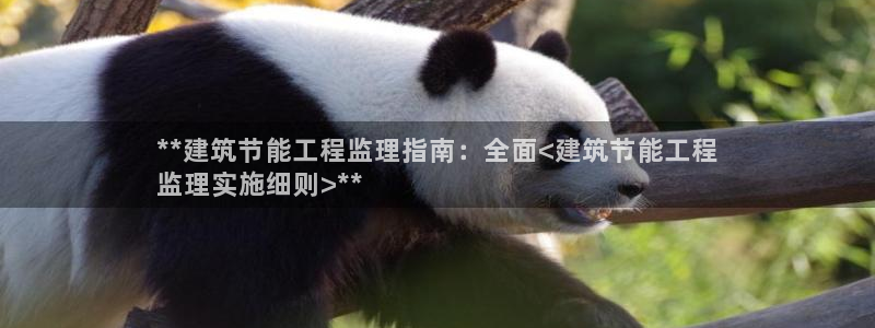 e尊国际app