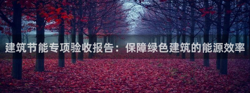 e尊国际平台：建筑节能专项验收报告：保障绿色建筑的能源效率