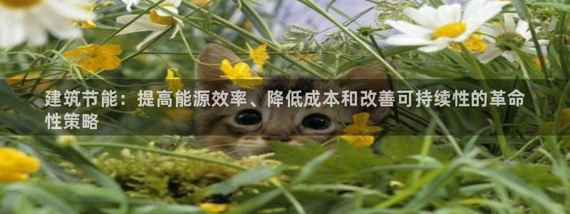 e尊国际客服：建筑节能：提高能源效率、降低成本和改善可持续性的革命
性策略
