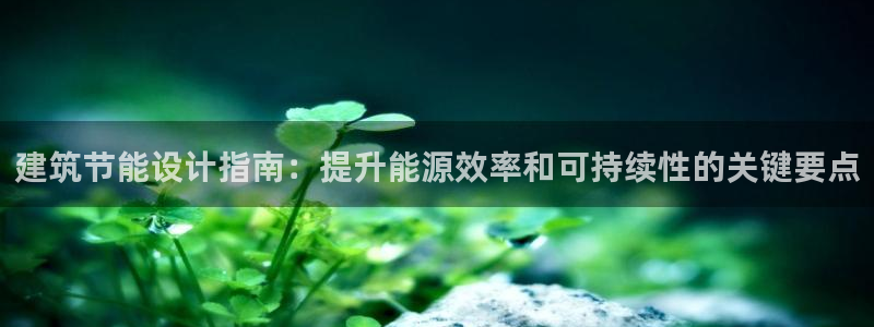 E尊国际网站：建筑节能设计指南：提升能源效率和可持续性的关键要点