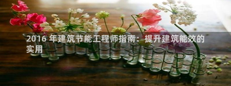 e尊国际可靠吗：2016 年建筑节能工程师指南：提升建筑能效的
实用