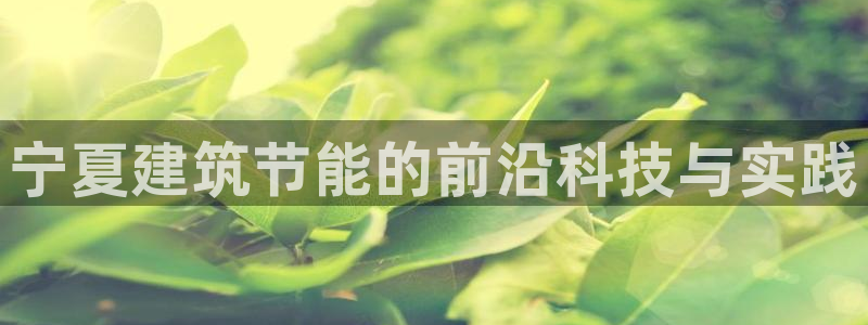 e尊国际娱乐官网地址：宁夏建筑节能的前沿科技与实践