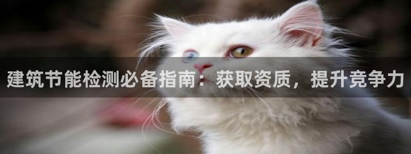 e尊国际官方网站：建筑节能检测必备指南：获取资质，提升竞争力