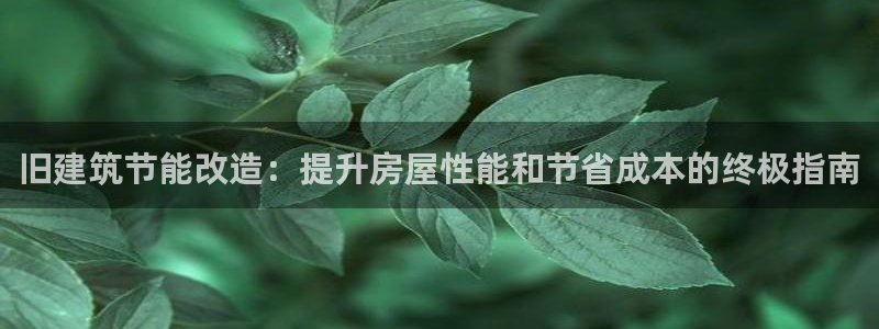 e尊国际客户端：旧建筑节能改造：提升房屋性能和节省成本的终极指南