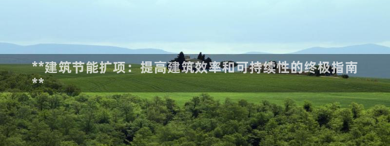 E尊国际网站：**建筑节能扩项：提高建筑效率和可持续性的终极指南
**