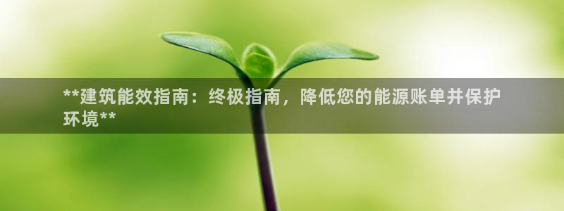 e尊国际网址：**建筑能效指南：终极指南，降低您的能源账单并保护
环境**
