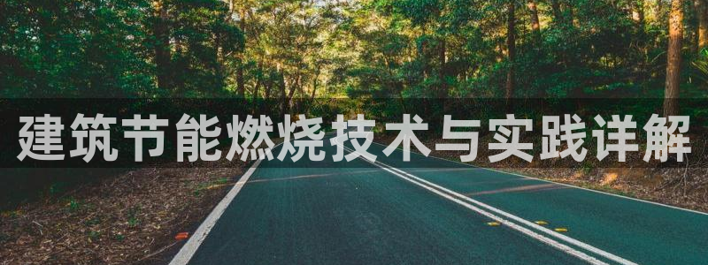 e尊国际-可可计划：建筑节能燃烧技术与实践详解
