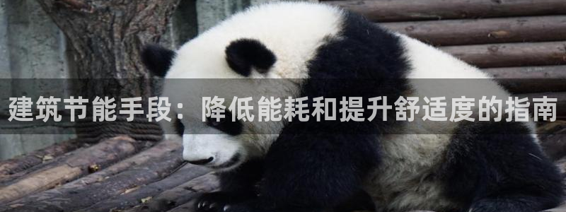 e尊国际官网app：建筑节能手段：降低能耗和提升舒适度的指南