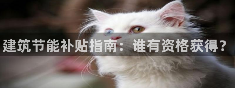 e尊国际客服：建筑节能补贴指南：谁有资格获得？