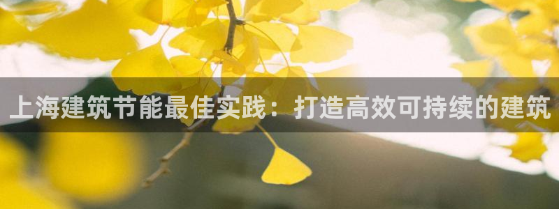 e尊体育：上海建筑节能最佳实践：打造高效可持续的建筑