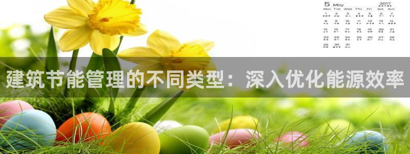 e尊国际官方网站：建筑节能管理的不同类型：深入优化能源效率