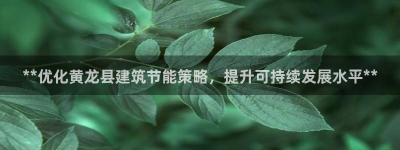 E尊国际网站：**优化黄龙县建筑节能策略，提升可持续发展水平**