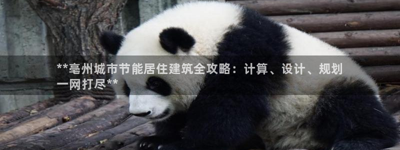 谁知道e尊国际的网址：**亳州城市节能居住建筑全攻略：计算、设计、规划
一网打尽**