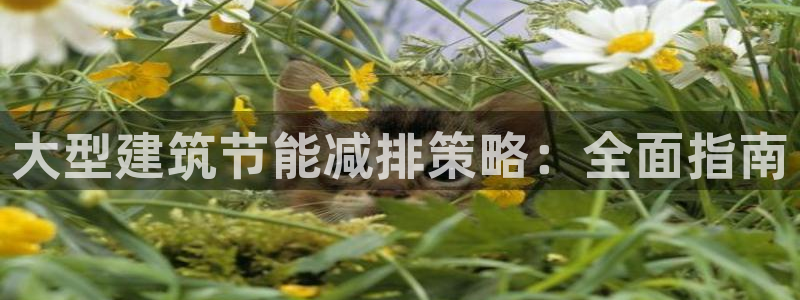 e尊国际地址：大型建筑节能减排策略：全面指南