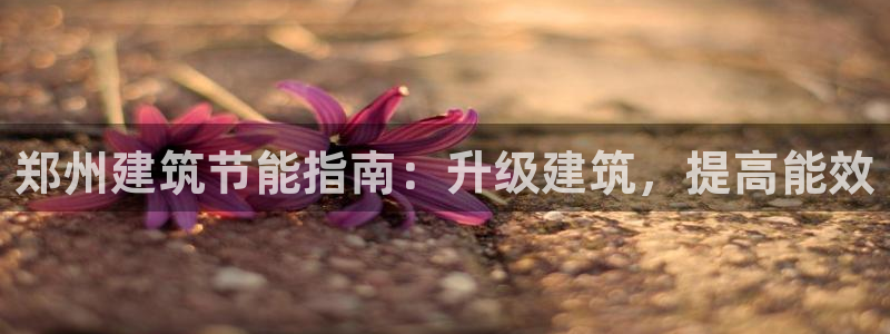 e尊国际app：郑州建筑节能指南：升级建筑，提高能效