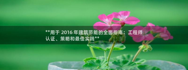 e尊国际app：**用于 2016 年建筑节能的全面指南：工程师
认证、策略和最佳实践**