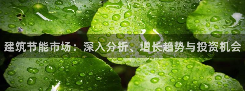 e尊国际地址：建筑节能市场：深入分析、增长趋势与投资机会
