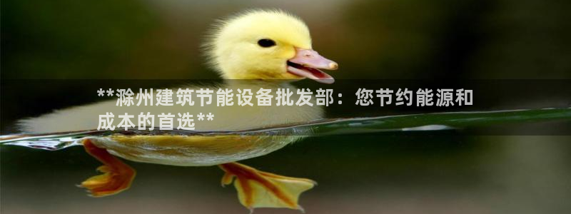 e尊国际平台：**滁州建筑节能设备批发部：您节约能源和
成本的首选**