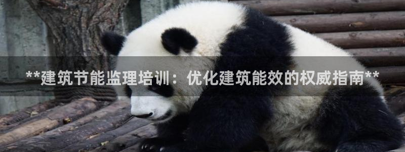e尊国际客户端下载：**建筑节能监理培训：优化建筑能效的权威指南**