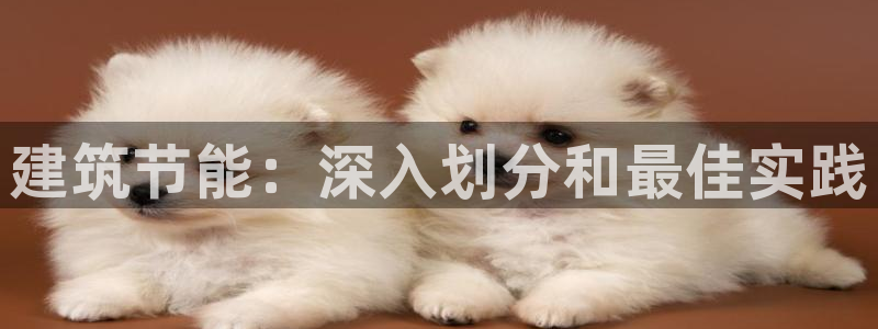e尊国际是个黑网：建筑节能：深入划分和最佳实践