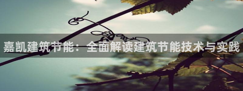 e尊国际客户端下载：嘉凯建筑节能：全面解读建筑节能技术与实践