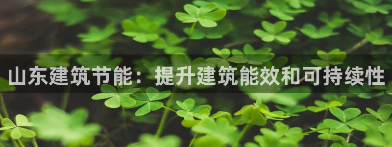 e尊国际-可可计划：山东建筑节能：提升建筑能效和可持续性
