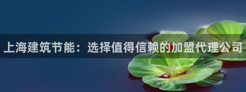 e尊国际客户端：上海建筑节能：选择值得信赖的加盟代理公司
