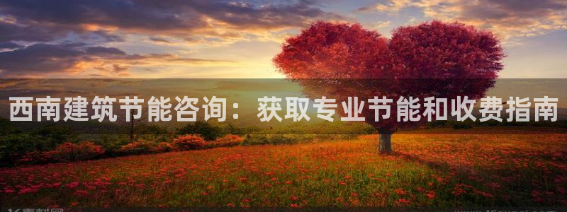 e尊国际是干什么的：西南建筑节能咨询：获取专业节能和收费指南