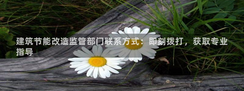 e尊国际客户端下载：建筑节能改造监管部门联系方式：即刻拨打，获取专业
指导
