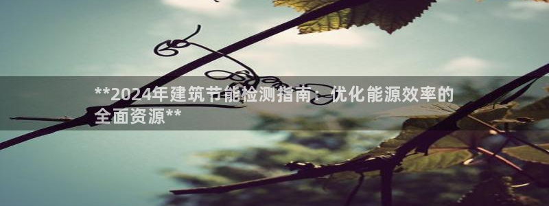 e尊国际官网·网址：**2024年建筑节能检测指南：优化能源效率的
全面资源**