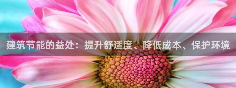 e尊国际官方网站：建筑节能的益处：提升舒适度、降低成本、保护环境