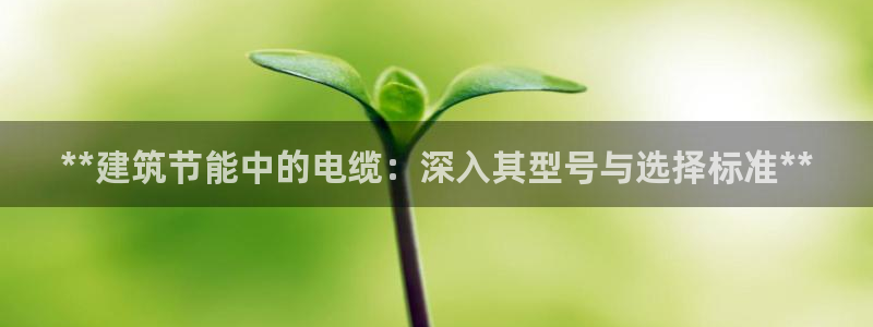 尊亿娱乐国际官网：**建筑节能中的电缆：深入其型号与选择标准**