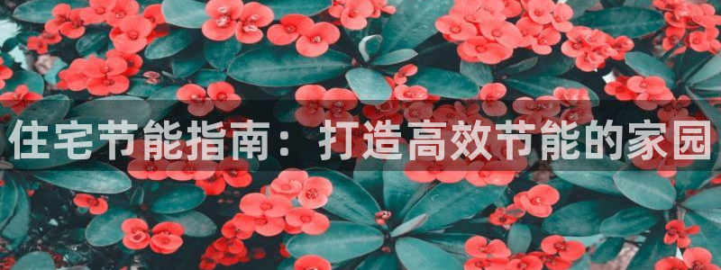 e尊国际-可可计划：住宅节能指南：打造高效节能的家园