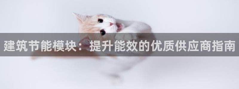 e尊国际平台：建筑节能模块：提升能效的优质供应商指南