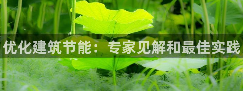 e尊国际客户端下载：优化建筑节能：专家见解和最佳实践