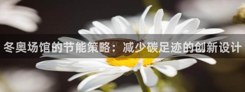 E尊国际：冬奥场馆的节能策略：减少碳足迹的创新设计