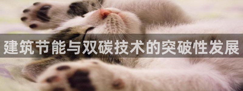 e尊国际平台：建筑节能与双碳技术的突破性发展