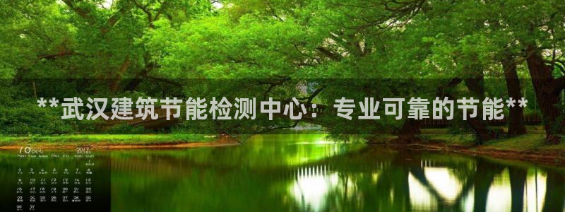 e尊国际客服：**武汉建筑节能检测中心：专业可靠的节能**