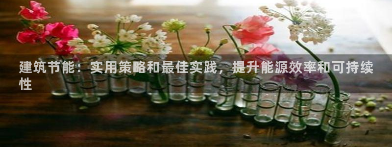 e尊国际的手机登录网站：建筑节能：实用策略和最佳实践，提升能源效率和可持续
性