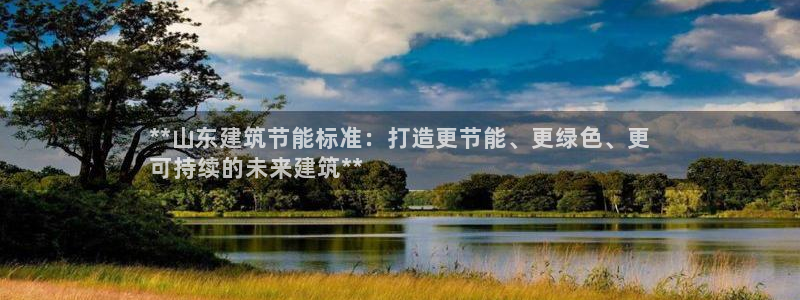 e尊国际是干什么的：**山东建筑节能标准：打造更节能、更绿色、更
可持续的未来建筑**
