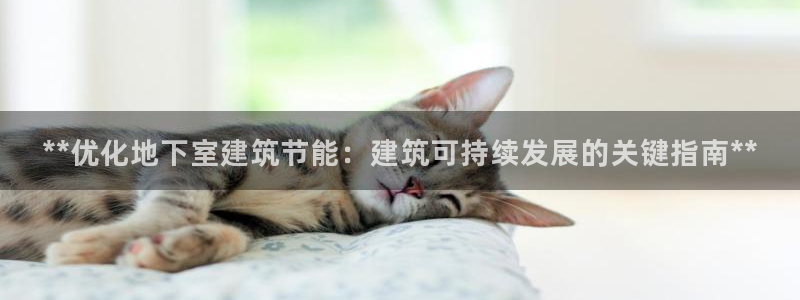 e尊国际可靠吗：**优化地下室建筑节能：建筑可持续发展的关键指南**